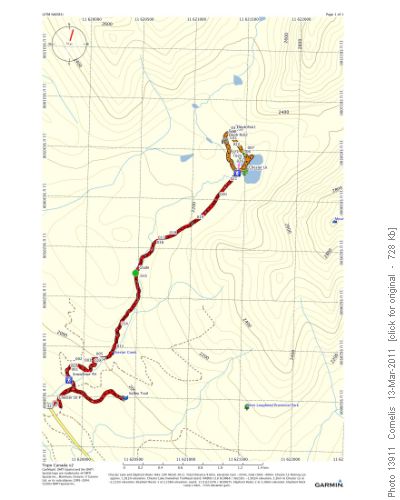 Chester L. & Elephant Rocks return: Total 8.3km, elev. gain ~354m, total climb ~400m.