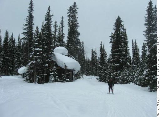 Lake O'Hara CG/Janice/