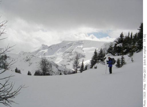 View SW toward Surprise Creek