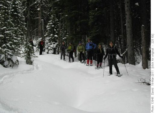 Coming down the drainage from Lake Annette