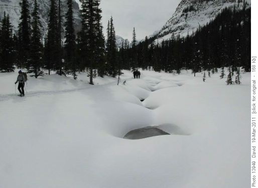 Returning along the creek