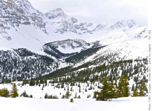 Upper North Fork of Mosquito Creek
