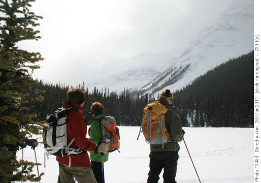 Checking out the avalanche slope on Mt Shark - from a safe distance