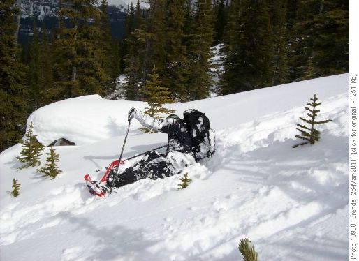 New member Mark stuck in a tree well