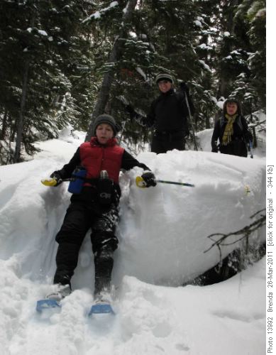 In the drainage between Arnica and the dry lake