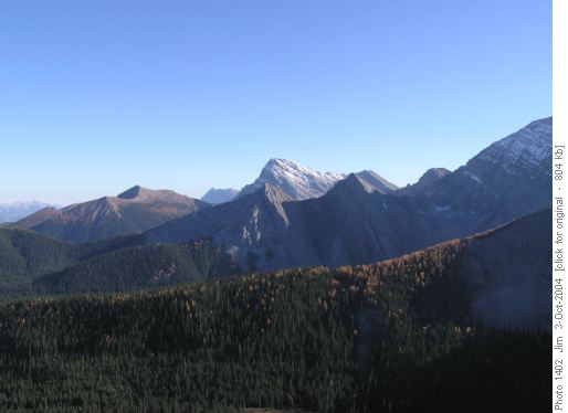 Or the eye-popping vistas offered by Odlum Ridge. Or the eye-popping vistas offered by Odlum Ridge.