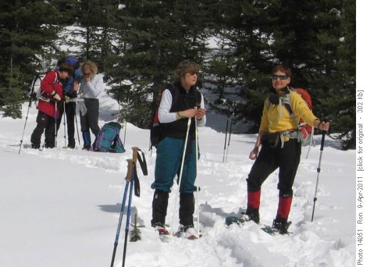 {141 Jean Amatt} & {1054 Kathy Brisco}, with map ponderers in background