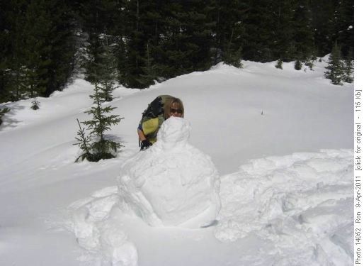 Barb plays hide & seek