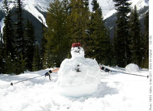 Mystery snowshoer in Sawmill area