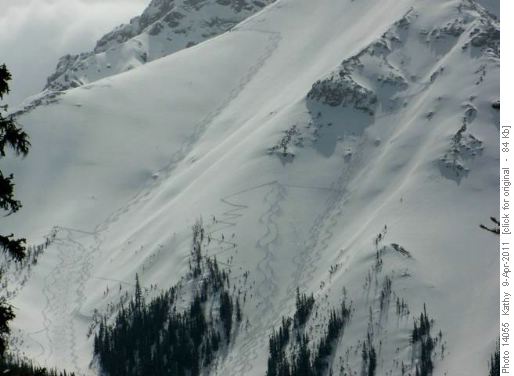 Powder tracks in the Black Prince area