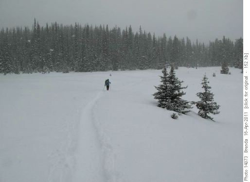 Steady snow as we crossed the meadows