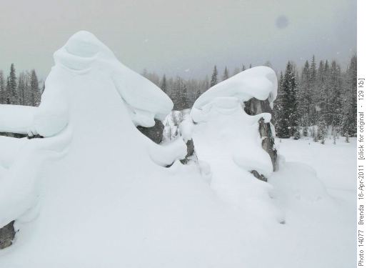 Ghostly looking Elephant Rocks