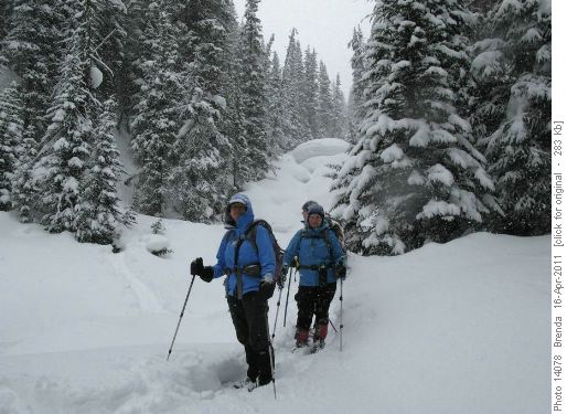 Returning via the creek