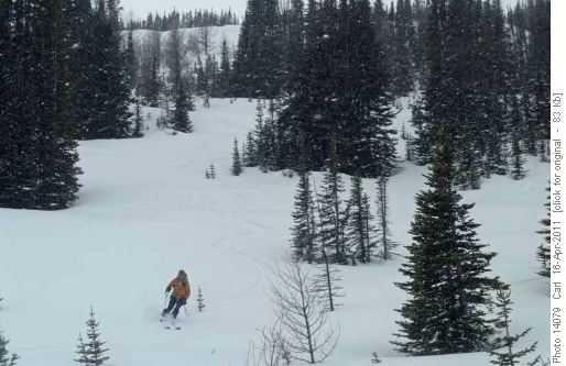 David in Hidden Lake glades