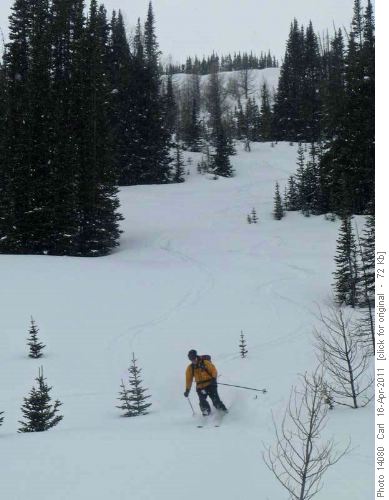 Damian in Hidden Lake glades