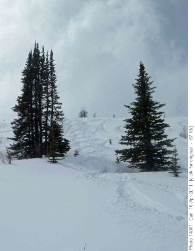 Powder 8s near Hidden lake