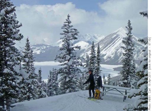 At Blueberry Hill picnic table
