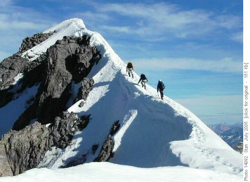 Mt Victoria South Ridge