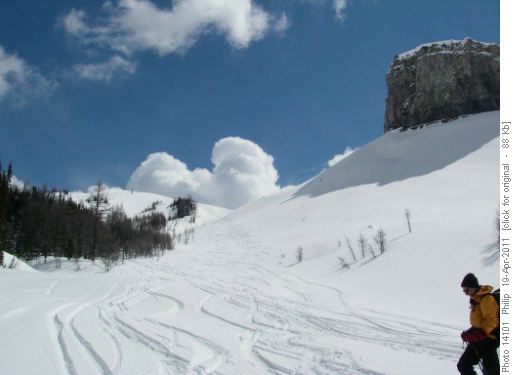 Tracks down Birdwood Ck