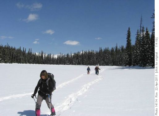 {991 Janice Thompson} crossing Rawson Lake