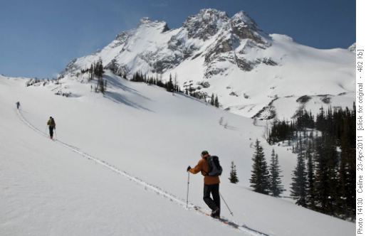 Coming up above treeling below Mt Robertson