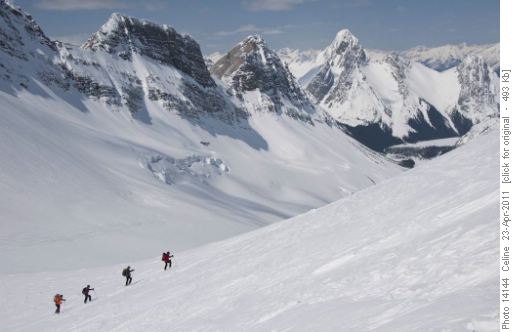 A group coming up the Haig-Robertson col