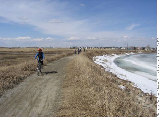 Along the shore of icy Chestermere slough