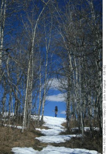 Up to the west meadow