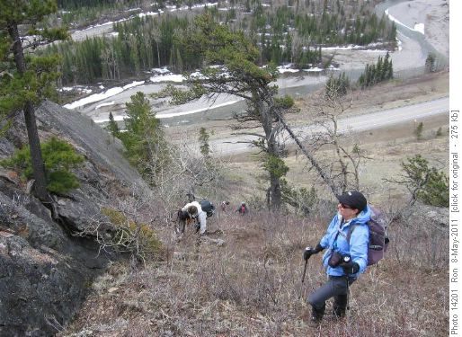 {522 Brenda Everitt} catches her breath on the steep initial ascent of Junction Hill