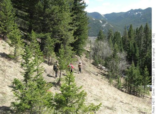 Heading out thru Fir Creek drainage