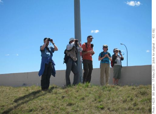 Checking Out One Of The Storm Ponds