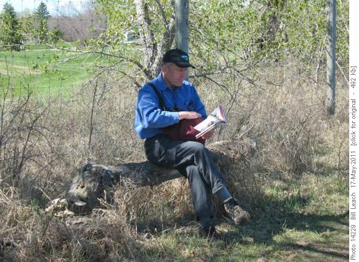 Carl Consulting A Field Guide