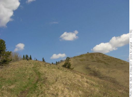Clear trail to Mesa Butte