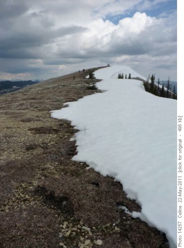 Ramblers reaching high point