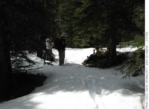 Alymer Pass / Lookout Junction - some elected to put on gaiters here