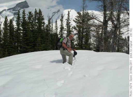 {1149 ber ros} found some deep snow at the lookout