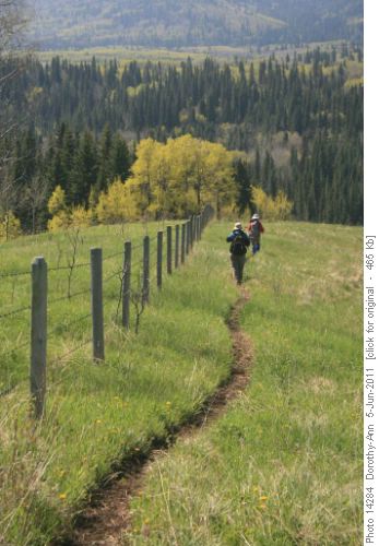 Following the fence line to our lunch