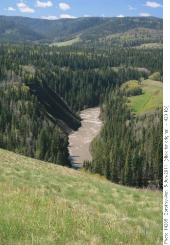 Sheep River - murky and full