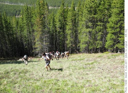 Part of the long, steep climb to the ridge