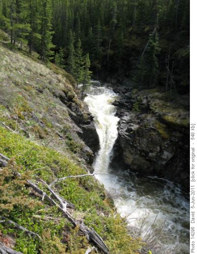 Sidetrip to view a waterfall on Etherington Creek