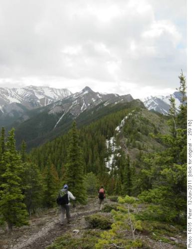 Wasootch Ridge - Just follow the ridge to the peak