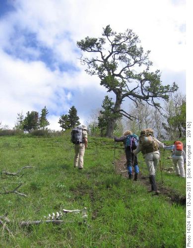 Heading up Marston Creek trail