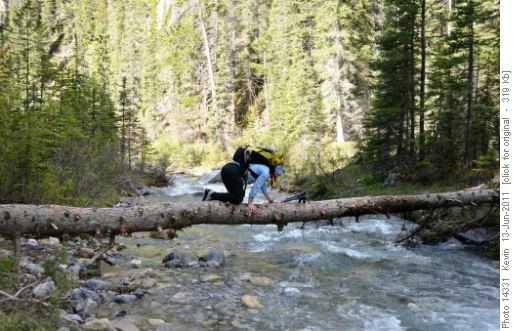 Not elegant, but practical way across Exshaw Creek
