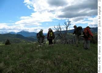 Along the Ridge