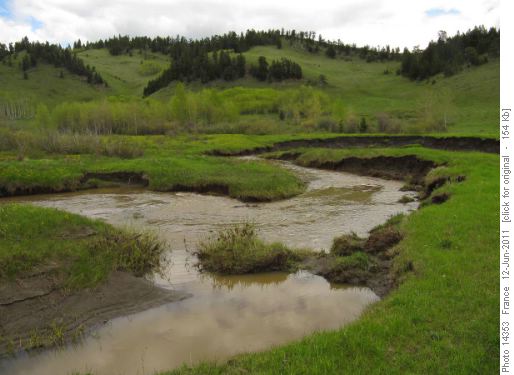 Bob Creek Meanders