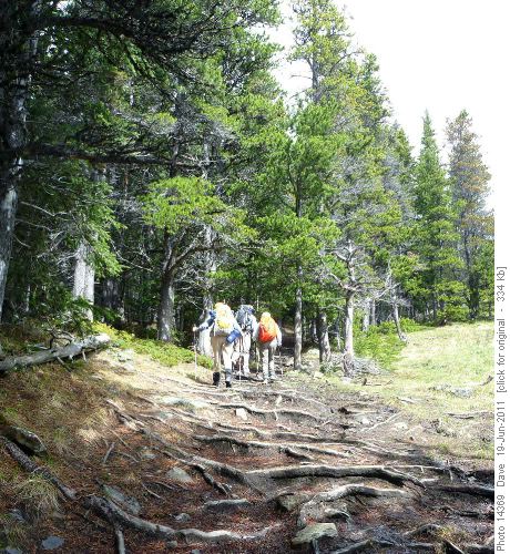 Trail through open meadows to top of ridge