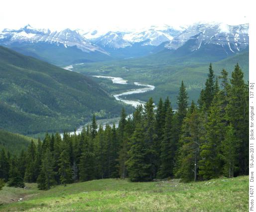 Elbow Valley