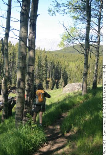 Early on the Gorge Creek Trail