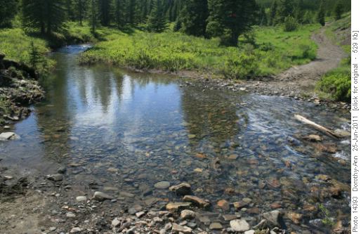 The only creek with significant water but no bridge