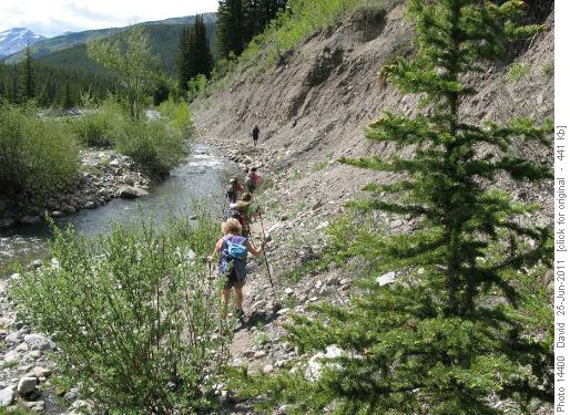 Trail along side Salter Creek keeps feet dry!